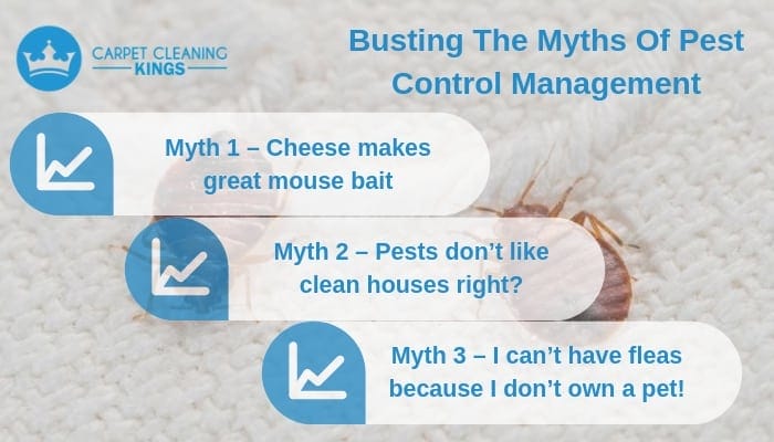 Busting The Myths Of Pest Control Management