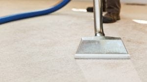 Knowing when to book a professional carpet clean