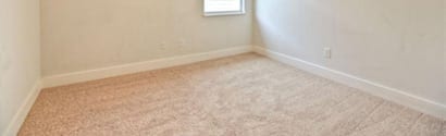 Move Out Carpet Cleaning Service
