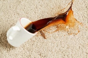 Carpet Stains Until A Professional Carpet Cleaner Arrives