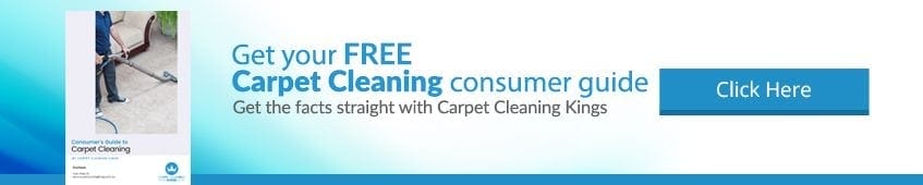 Carpet Cleaning Banner Book