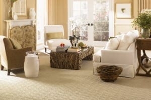 Keep Your Carpets Looking Great And Lasting longer