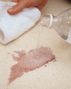 Consideration When Spot Cleaning Your Carpet