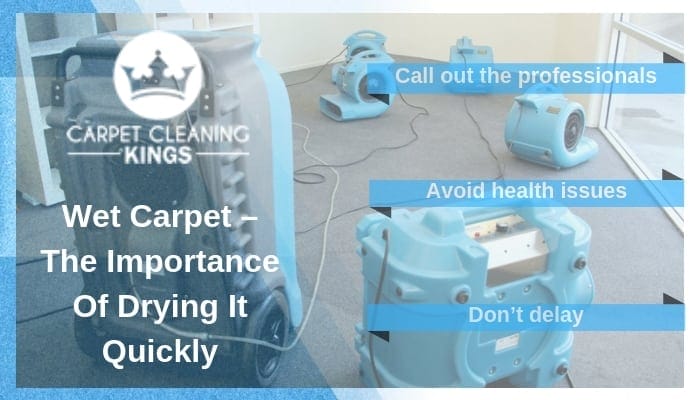 Wet Carpet – The Importance Of Drying It Quickly