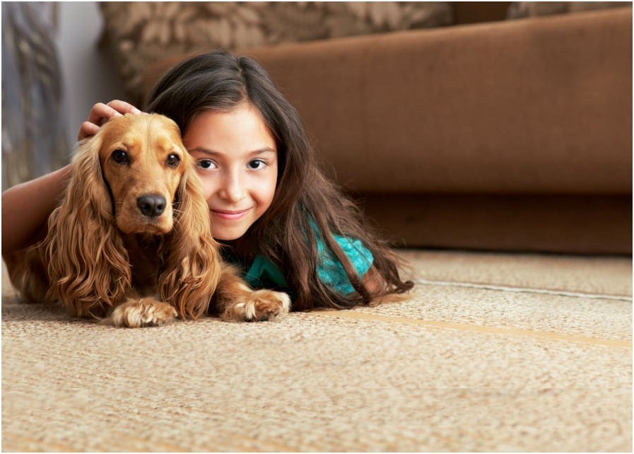 4 Steps To Keep Your Carpets Clean and Healthy