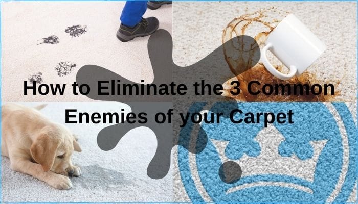 How to Eliminate the 3 Common Enemies of your Carpet